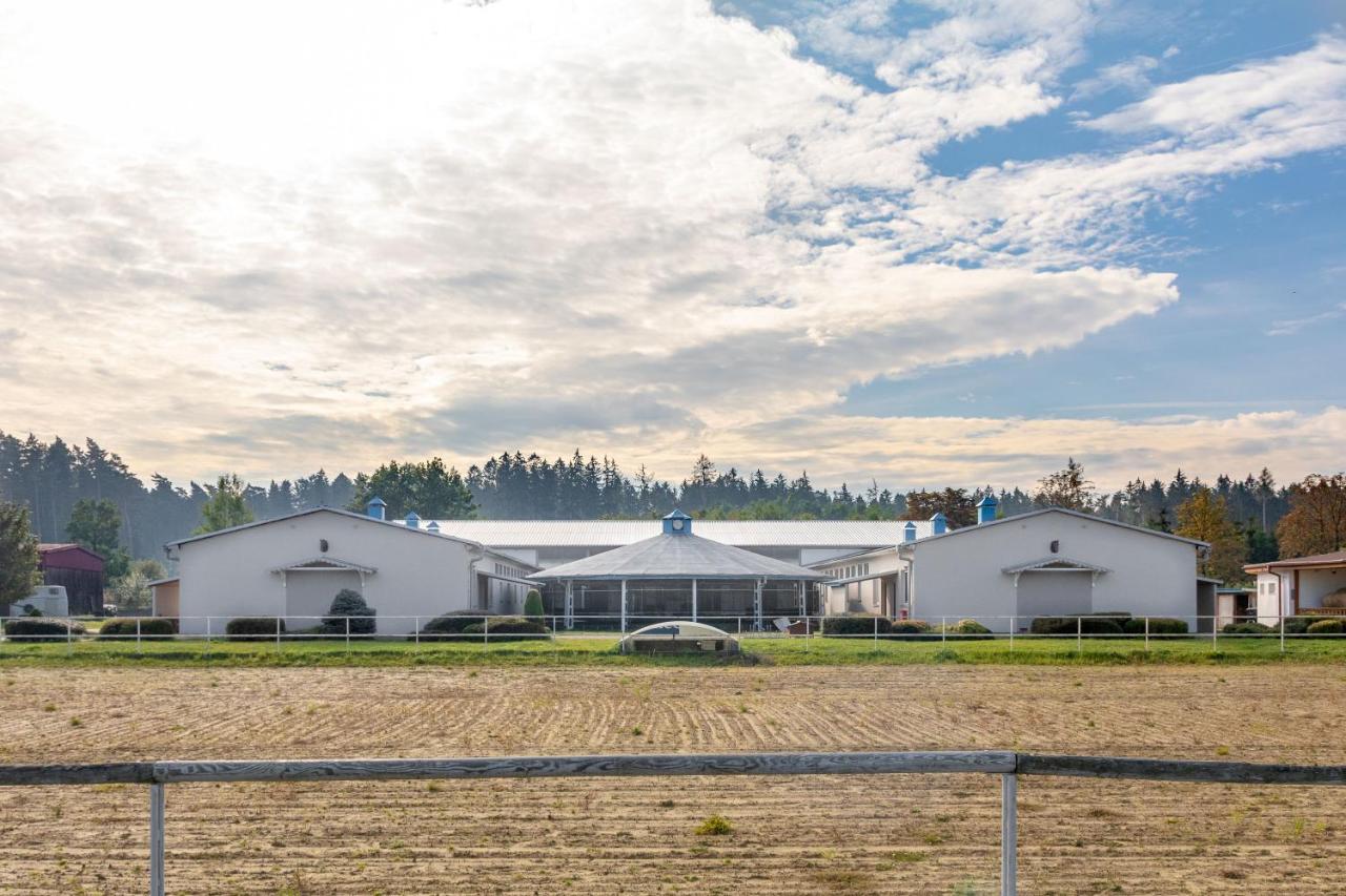 Farma Slunecny Dvur Apartmany A Family Stany Strecha Pod Strechou Hermanuv Mestec Esterno foto