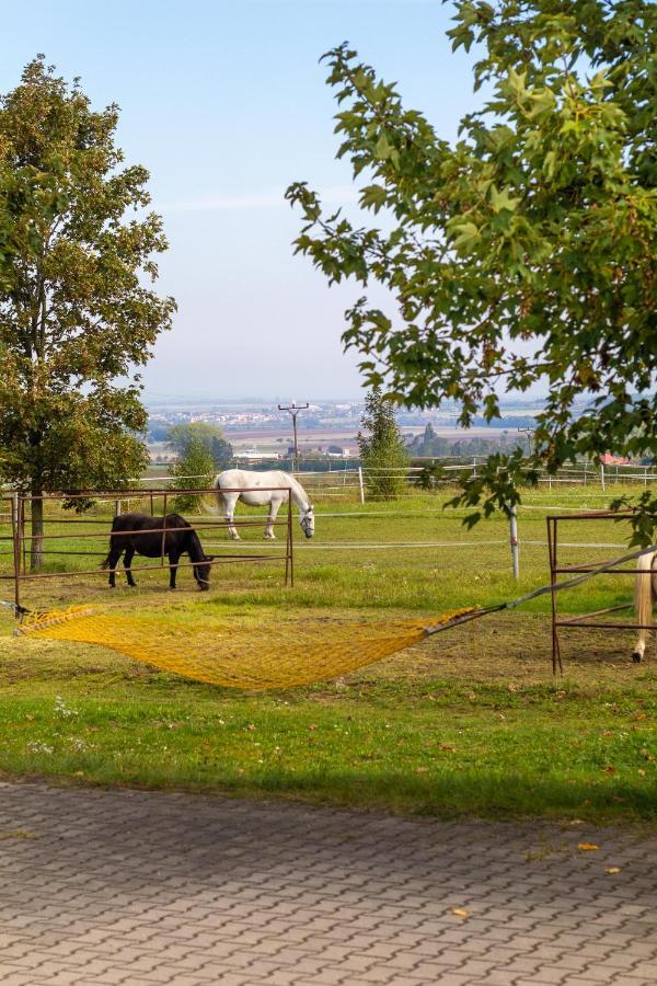 Farma Slunecny Dvur Apartmany A Family Stany Strecha Pod Strechou Hermanuv Mestec Esterno foto