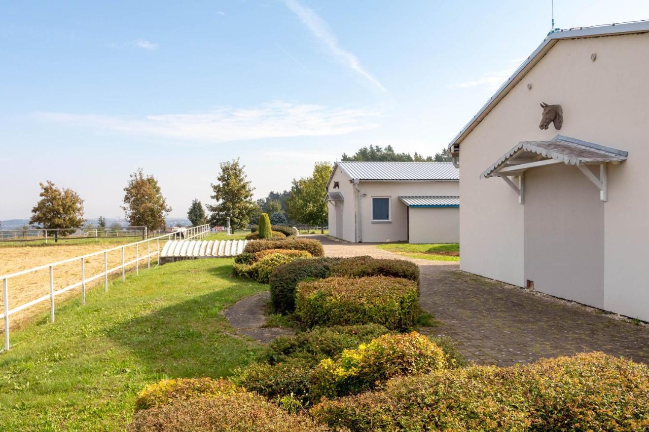 Farma Slunecny Dvur Apartmany A Family Stany Strecha Pod Strechou Hermanuv Mestec Esterno foto